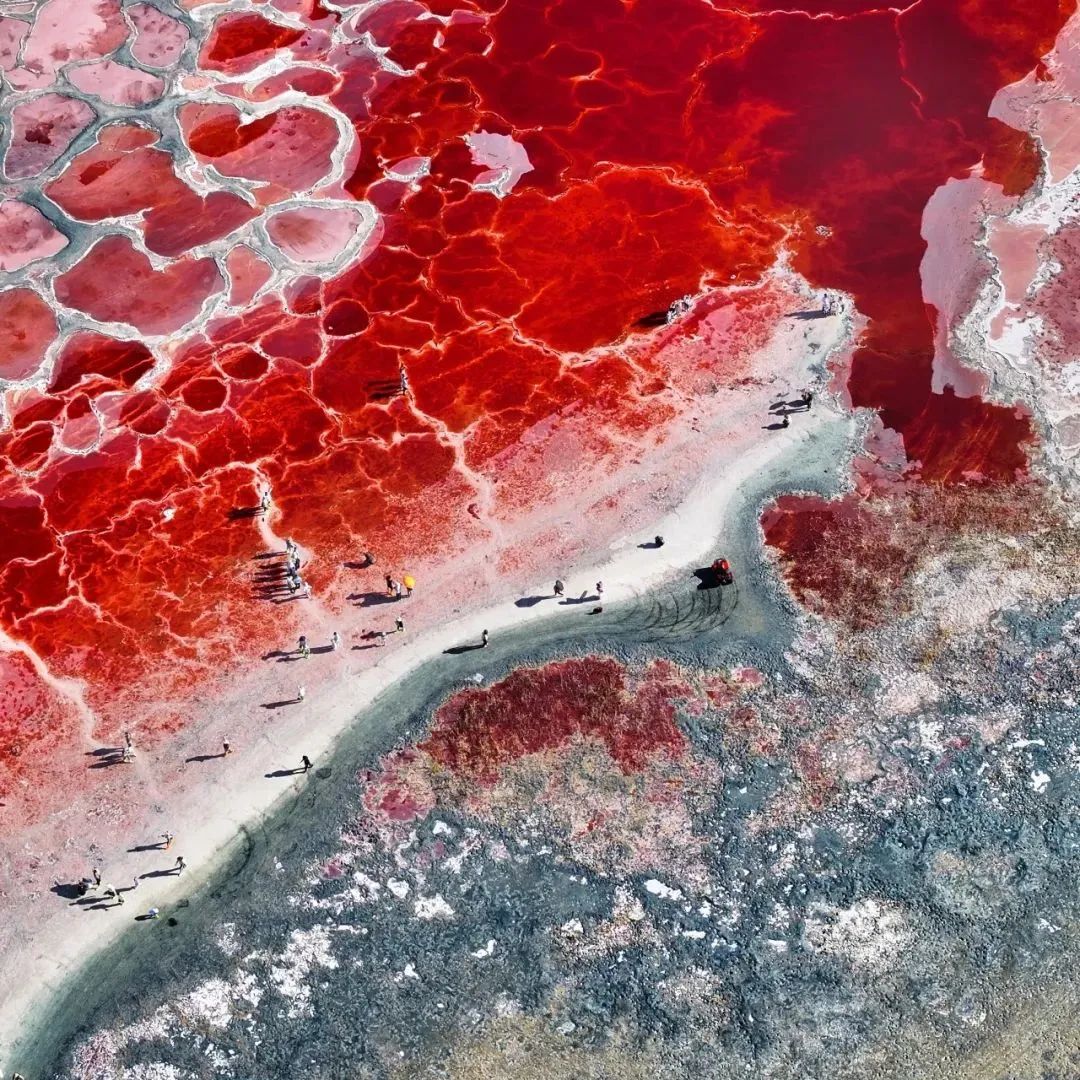 32C3722E36F41B1879C0BCE2522_5A55CEE7_51B5B