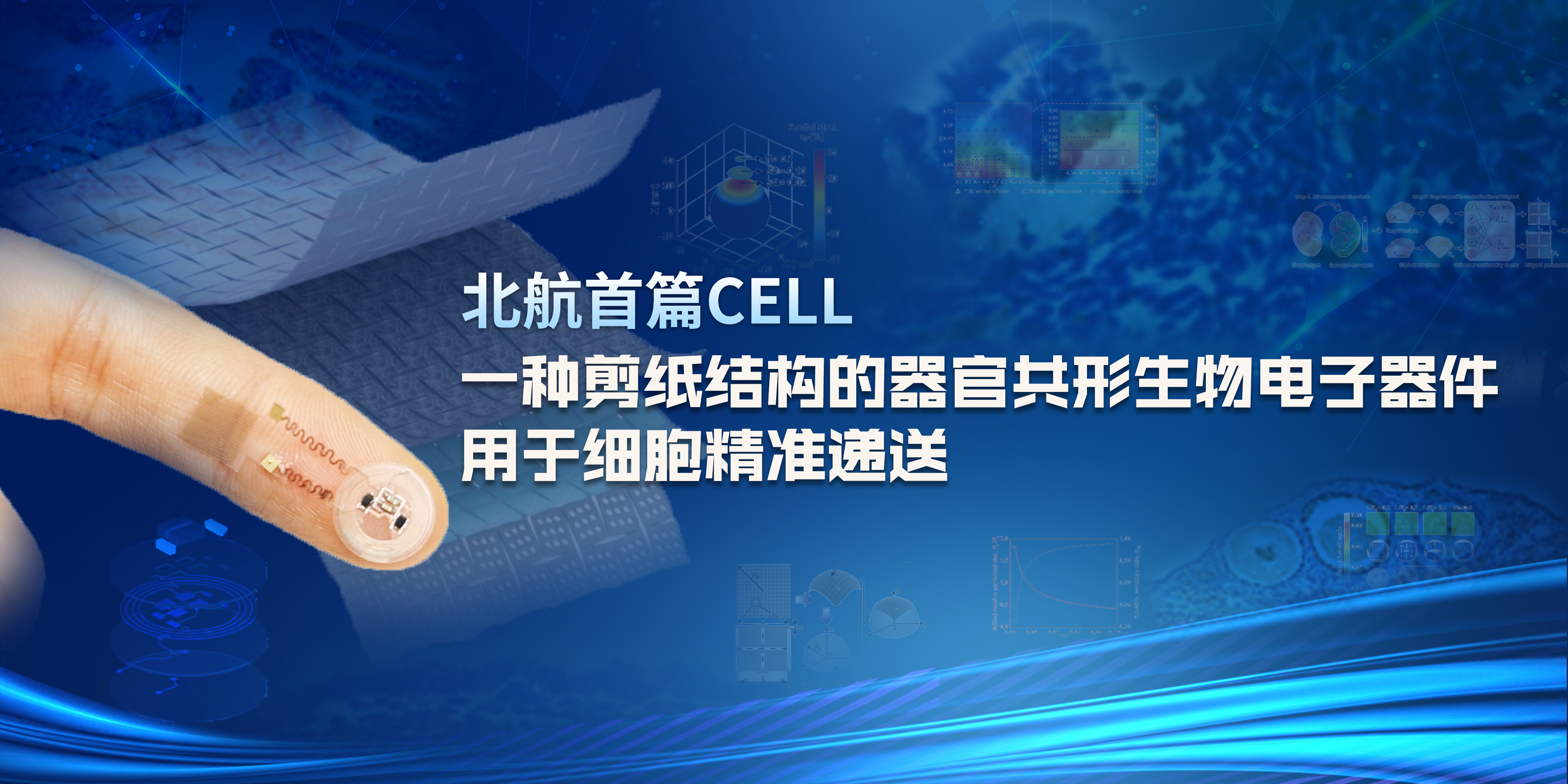 k豆钱包官方网站 - kdpay钱包