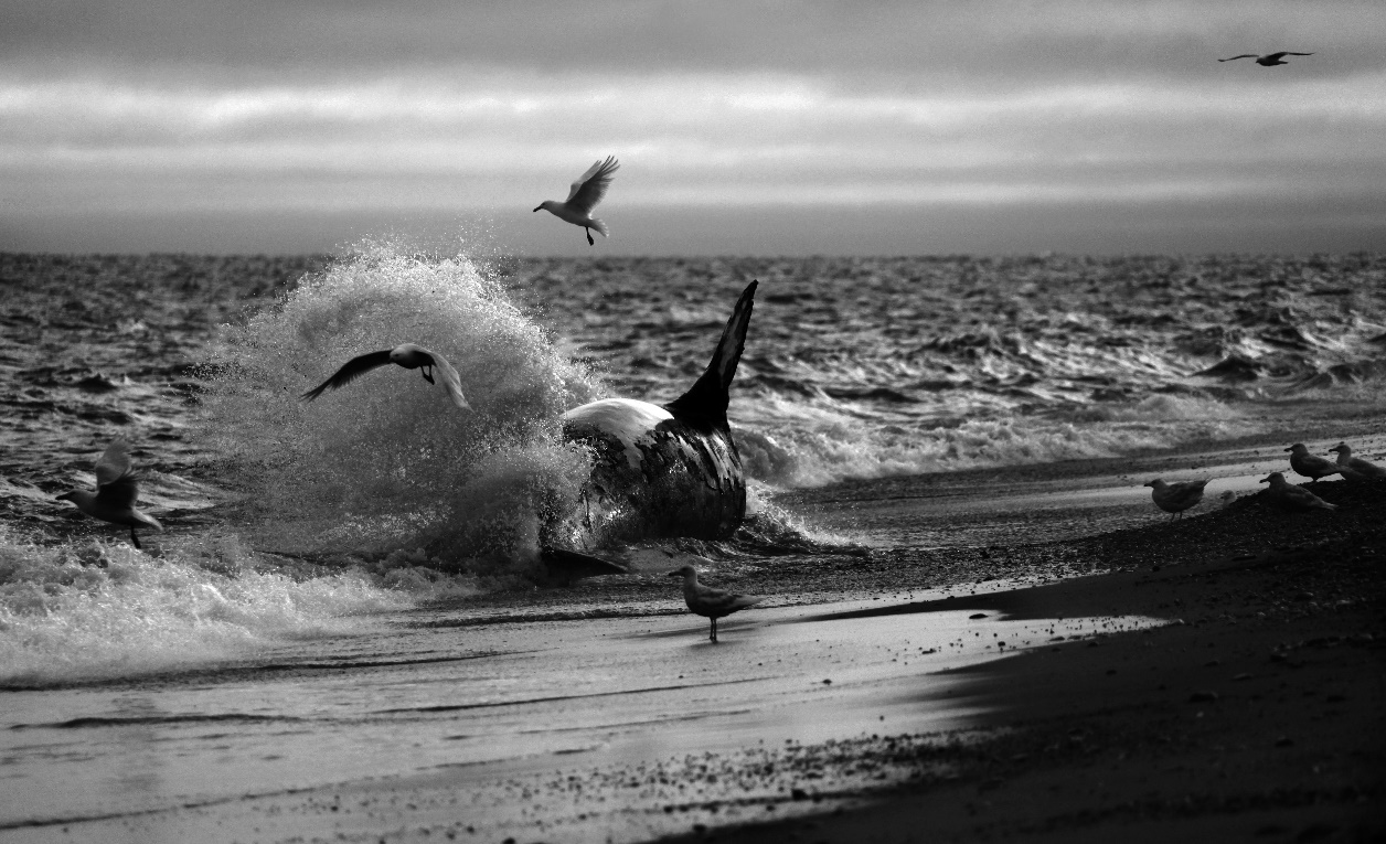 D0500F3060CA1566EC326789EFF_EE6509DD_5D007