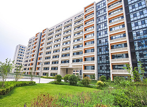 k豆钱包官方网站 - kdpay钱包